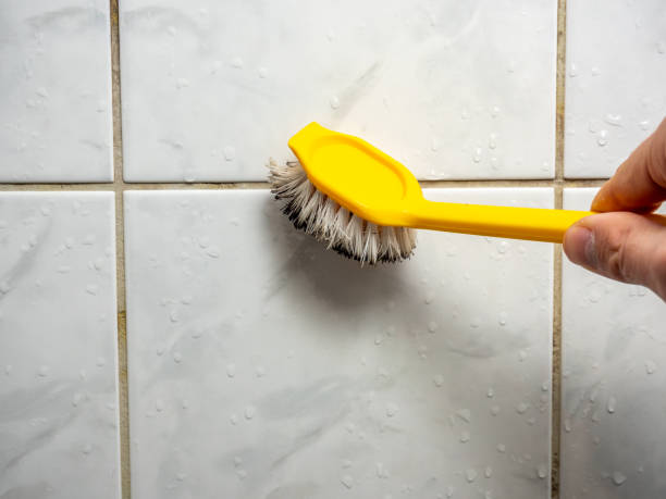 Best Insurance-Related Mold Remediation in Linden, MI