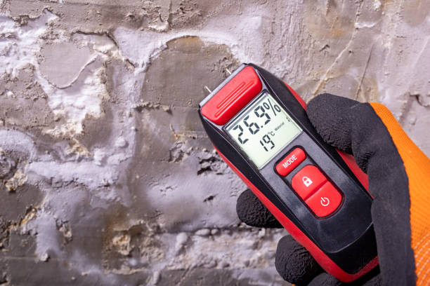 Best Localized Mold Remediation (e.g., coastal areas, humid climates) in Linden, MI