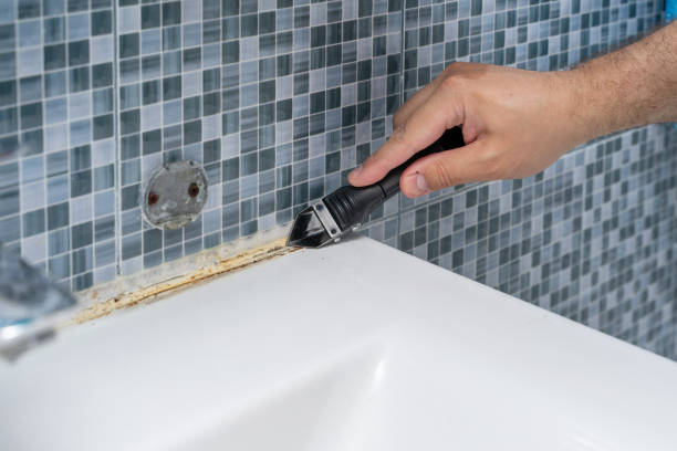 Best Health and Safety Mold Remediation in Linden, MI