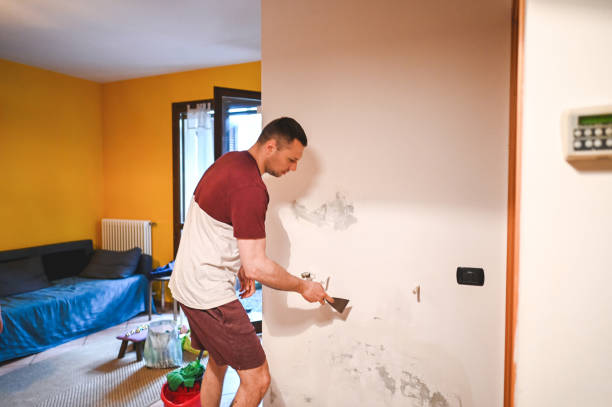 Best White Mold Remediation in Linden, MI